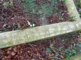 image of grave number 957782
